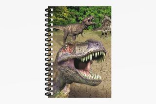 Obrázek z Notes 3D 9,3x13,5cm - dino (12) 